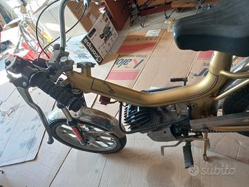 Cambridge Oscar mzv oro 