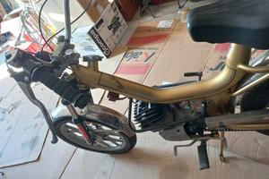 Cambridge Oscar mzv oro 