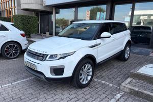 Land Rover Range Rover Evoque 5p 2.0 td4 SE 1...