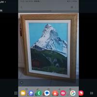 QUADRO CERVINO