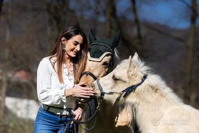 Splendida cavalla e puledro entrambi palomini