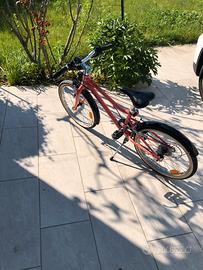 Bici bambina 20’’