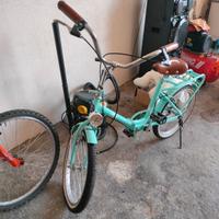 bicicletta femminile 