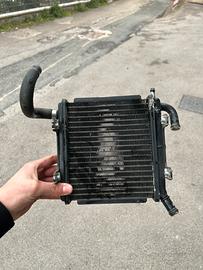 radiatore sr replica 50 con vaschetta