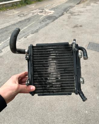 radiatore sr replica 50 con vaschetta