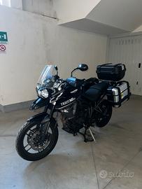 Triumph Tiger 800 xrx 2016