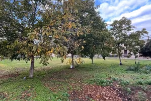 Terreno di 1866 m² a Saviano