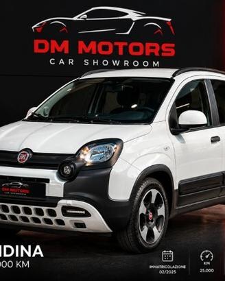 Fiat Panda 1.0 FireFly S&S Hybrid Pandina