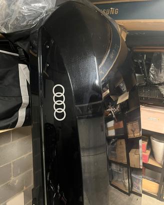 Audi Box Portapacchi (Sci) con 2 barre (Originale)