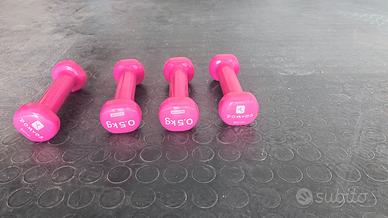 Pesi palestra 0,5 kg cadauno
