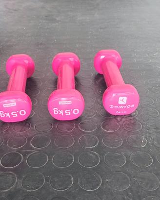 Pesi palestra 0,5 kg cadauno