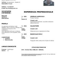 Manovale - Saldatore apprendista