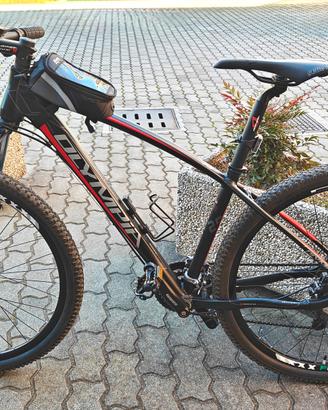 MTB Olympia Bull Twentyniner 