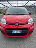 fiat-panda-1-2-lounge