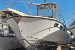 Barca a motore enrobordo