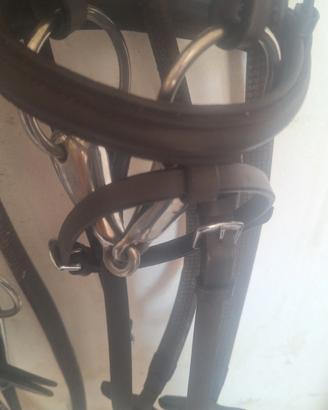 testiera per pony
