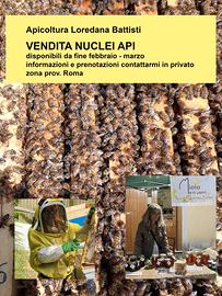 Vendita nuclei api