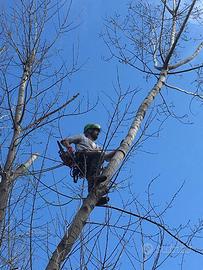 Arboricoltura - Tree Climbing