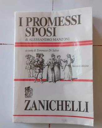 Romanzo "I promessi sposi"