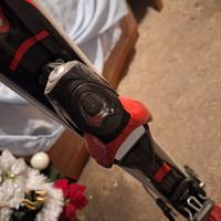 Scii con posta scii auto 