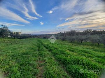 TER. AGRICOLO A VELLETRI