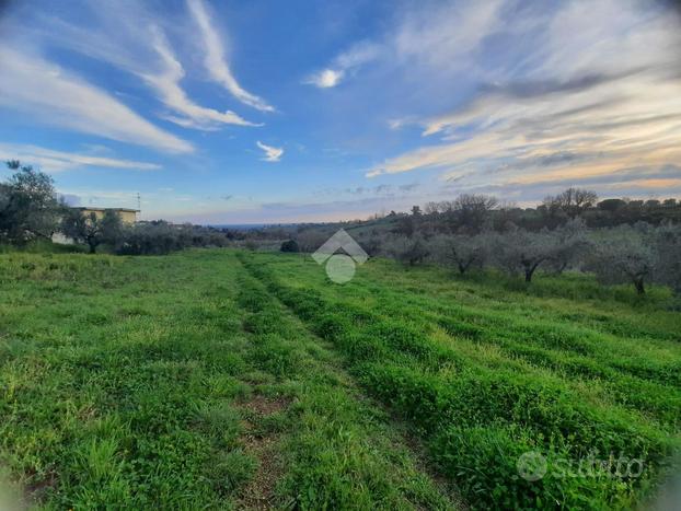 TER. AGRICOLO A VELLETRI