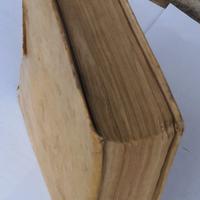 SERMONI PER LE DOMENICHE DELL’ANNO Del Padre LUIGI