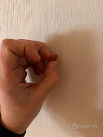 Trollbeads arancione