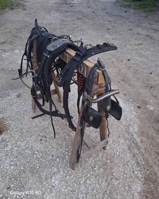 Finimenti per  cavalli