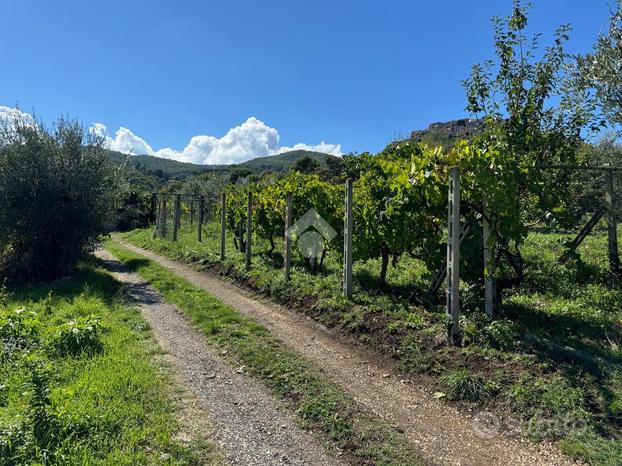 TER. AGRICOLO A MONTE COMPATRI