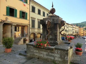 AUTUNNO in casentino