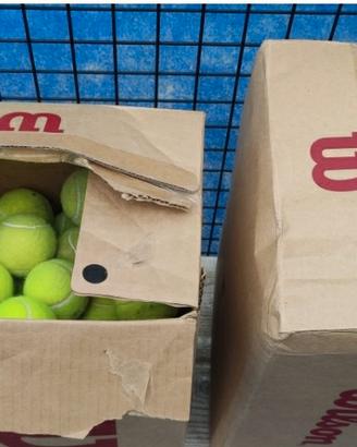 palle da tennis/padel usate