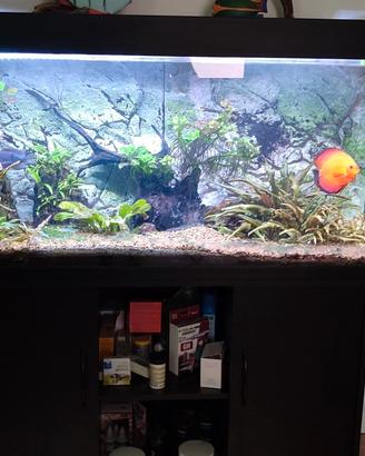 Acquario Juwel 300 litri