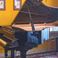 YAMAHA C7 -  Pianoforte a coda