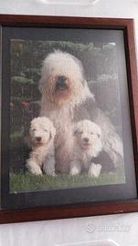 Quadro "Cani Bobtail" - composzione puzzle