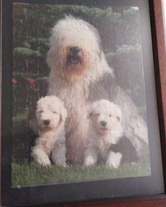 Quadro "Cani Bobtail" - composzione puzzle