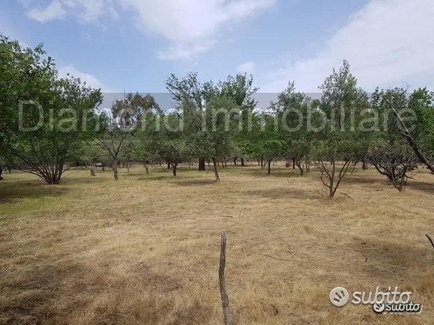 Terreno agricolo pianeggiante a Piedimonte Etneo - Vista 2
