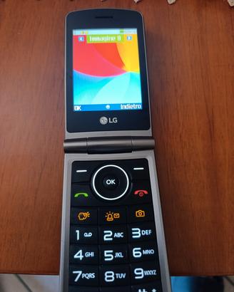telefonino lg a conchiglia 