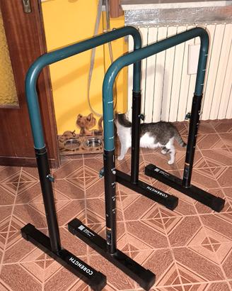 Parallele Decathlon 