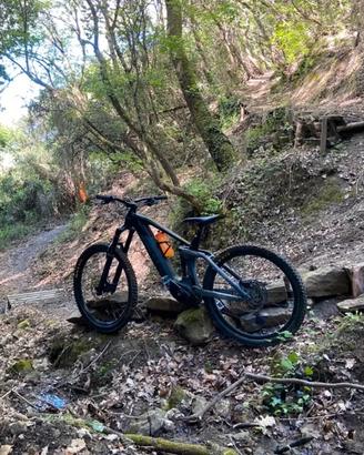 Ebike