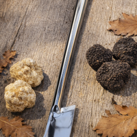 Vanghetto Professionale per Tartufi a Bandiera