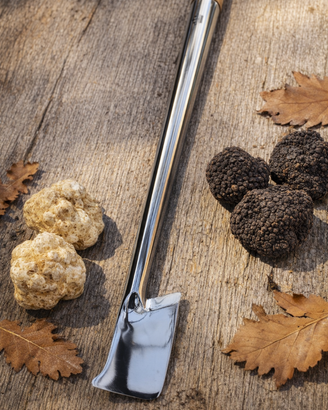 Vanghetto Professionale per Tartufi a Bandiera