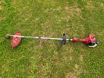 Decespugliatore Einhell 