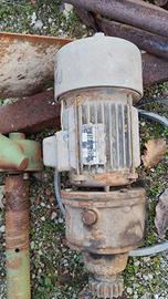 motore con freno, 1hp