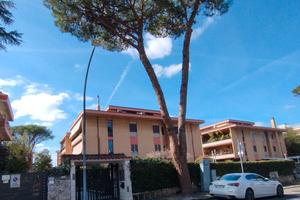 Bilocale ingresso indipendente corte esclusiva