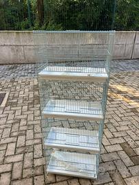 voliera 4 gabbie MAI USATA