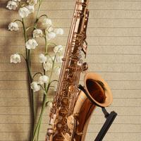 Sax Tenore mod. Jupiter