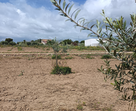Lotto terreno 1300 mq VIA DEGLI IMPERATORI