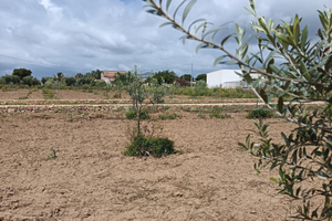 Lotto terreno 1300 mq VIA DEGLI IMPERATORI
