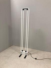 PIANTANA ZERBETTO BIANCA CON BASE